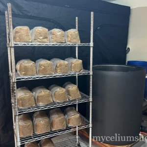 Produire plus — optimiser sa culture de champignons