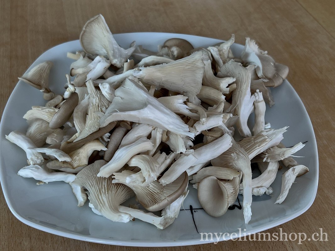 pleurote gris déchiré à la main avant la cuisson