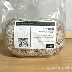 sac de grain spawn de pleurote eryngii colonisé par le mycélium blanc