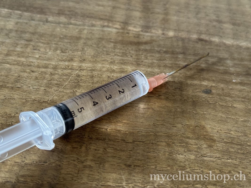 seringue de mycélium liquide inoculation champignons