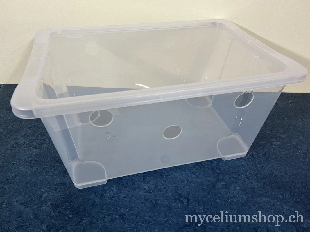 construction d'un bac monotub pour la culture de champignon. bac en plastique avec trous de 5cm de diamètre