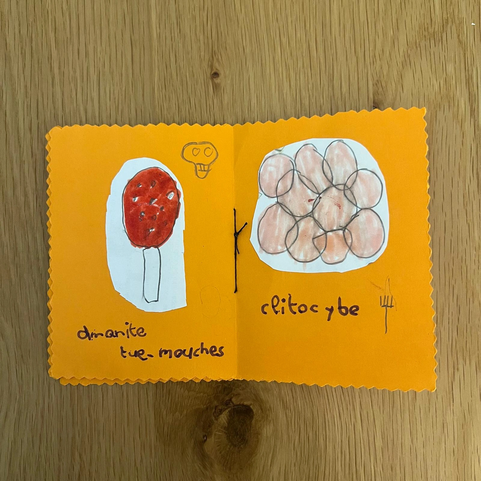 Lépiote excoriée et coprin chevelu