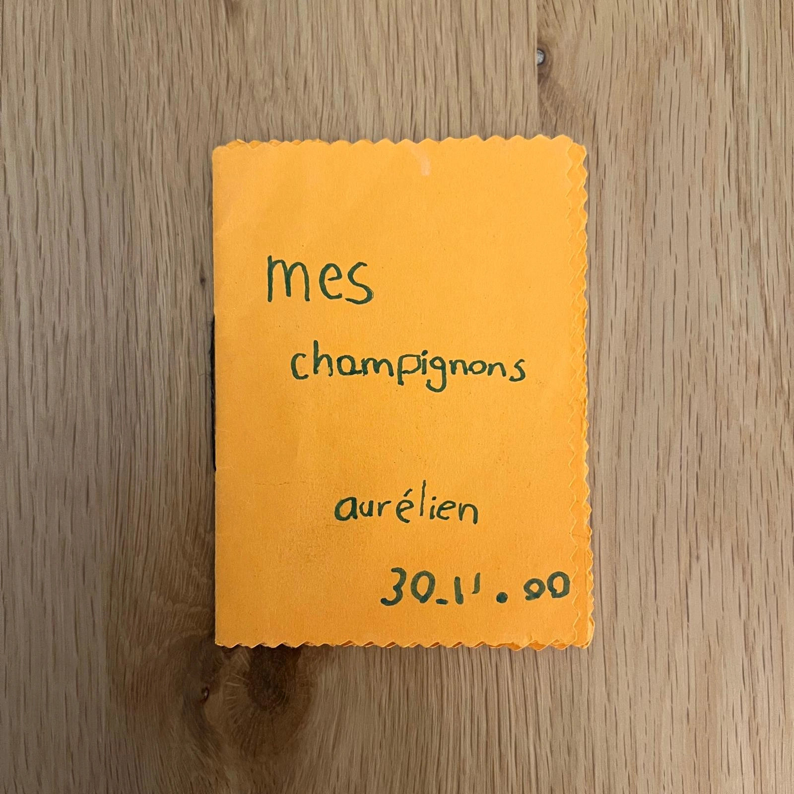 Couverture du carnet : Mes champignons, Aurélien, 30.11.00